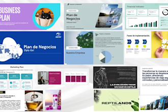 proyecciones financieras, pronósticos y un plan de negocios