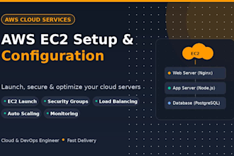 setup, configure, and manage your AWS ec2 instance
