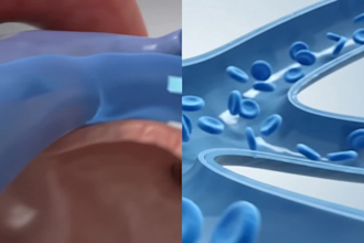create a professional 3d medical animation, surgery, anatomy animation video