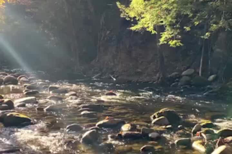 create a voice over audio voice and sound audio