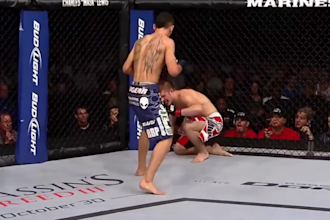create dynamic MMA fight highlight videos
