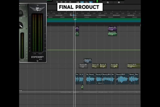 mix, master or remaster any type of song within 24 hours