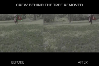 do professional vfx cleanup object removel wire remove and screen
