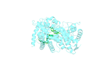 perform molecular docking using autodock vina and GPU