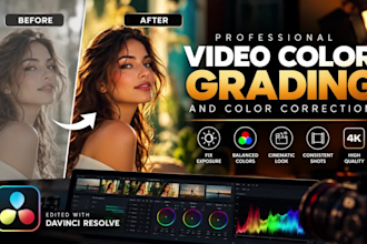 do professional video color grading, color correction and cinematic film look