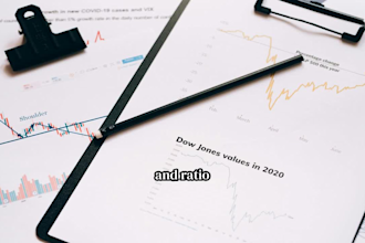 do any accounting and finance, economics, financial task