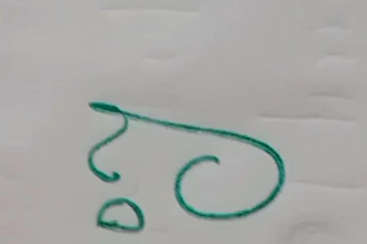 do professional beautiful cursive handwriting and copy paste
