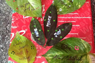do calligraphy on leaf