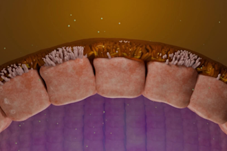 do professional 3d medical animation all fields