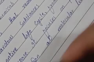 be your professional handwriting assignment work expert