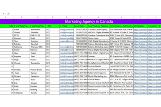 collect niche based leads generation, linkdin research, data
