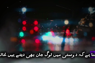 do professional urdu voice over foryoutube, ads storytelling