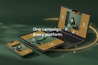 develop a full ai ad campaign package with video ads for your ecommerce store