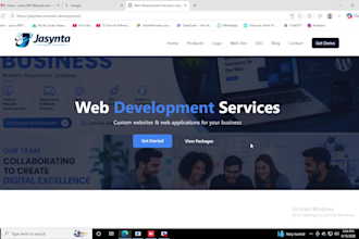 professional website development service