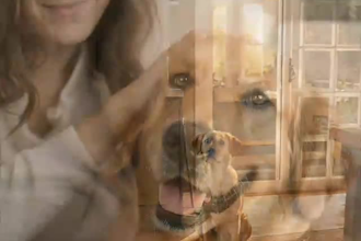generate  ai ugc video ads, ai ugc pet ads viral tiktok commercial for pet brand