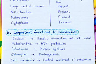 create clear cell structure notes with diagrams