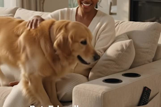 create luxury home decor ugc videos for your brand