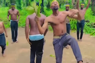 african happy birthday video or african happy birthday video