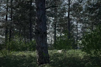 create 3d biomes environment 3d level blockout, unity world map design, ue5