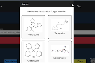 build responsive and interactive websites