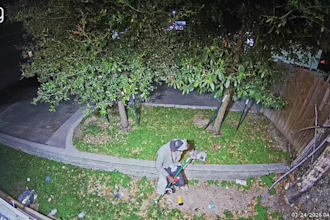 provide live remote cctv monitoring for your business