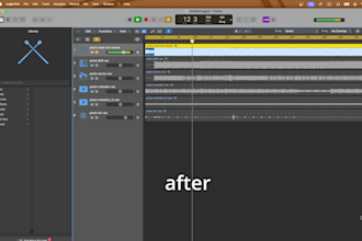 clean up, edit, mix and master your song