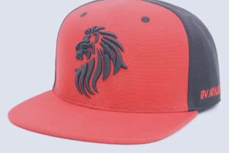 do embroidery digitizing in dst pes emb file in 2 hours