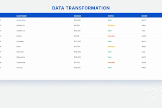clean, format and organize messy excel data professionally