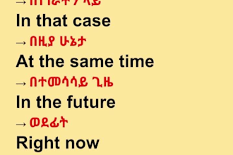 translate amharic to english accurately and naturally
