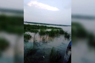 do professional bangla female voice over for youtube