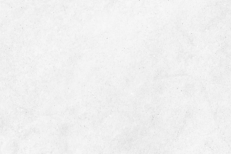 design a premium brand identity kit with logo
