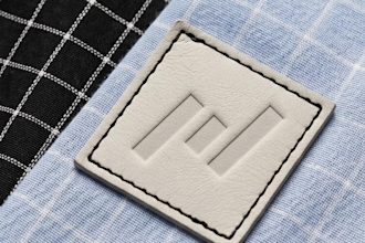 design a professional brand identity and logo