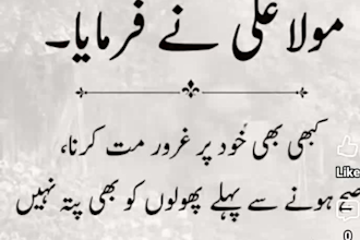 do professional english and urdu voice over