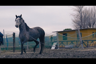 edit your video professionally with color grading in davinci resolve