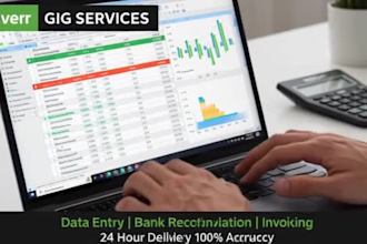 do accounting, bank reconciliation, invoicing  data entry