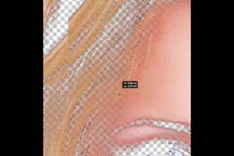 convert your photo into a professional halftone design