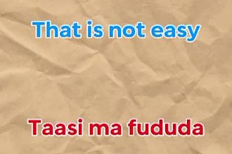do professional english to somali translation