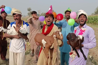 do funny african happy birthday video with wishes african dance video