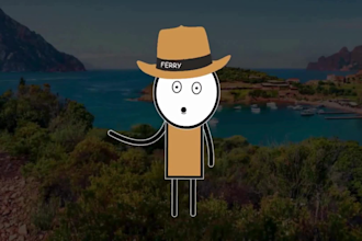 do custom 2d stickman animation form script