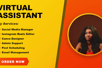 virtual assistant social media manager canva designer instagram VA reel editor