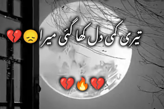 create aesthetic urdu poetry video for tiktok and reels
