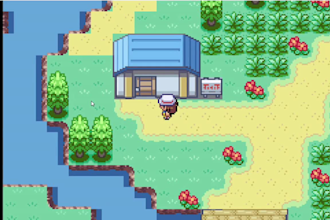 create pokemon essentials trainer npc overworld sprite animation sheet, rom hack