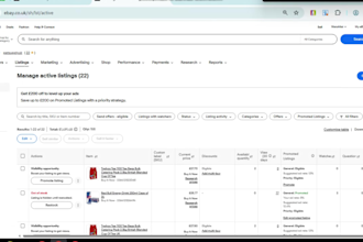 be ebay virtual assistant, ebay dropshipping, ebay  manager