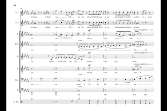 arrange any song, tailored to your acapella ensemble or choir