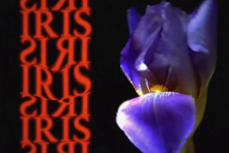 create 3d perfume animation, ai commercial video, perfume commercial video ads