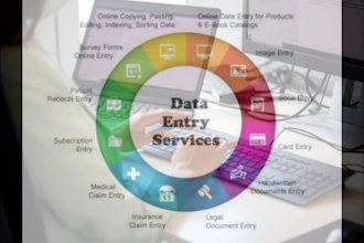 provide professional data entry services