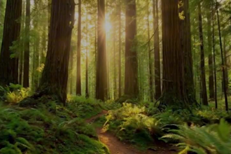 provide natural ai voiceover for your corporate training e learning or ads