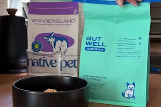 create engaging dog ugc videos for pet products,brands and social media