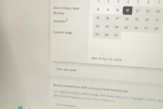 shopify store designer and developer
