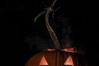 be your halloween spokesperson and record a spooky testimonial video